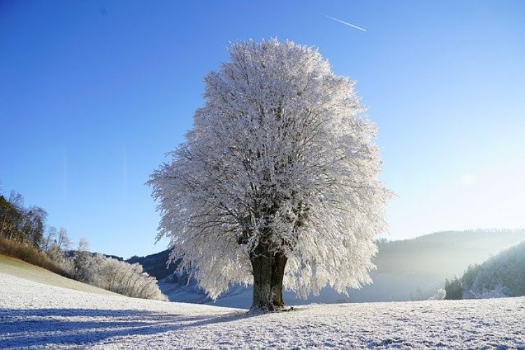 HORARIOS ESPECIALES POR CLIMATOLOGIA ADVERSA