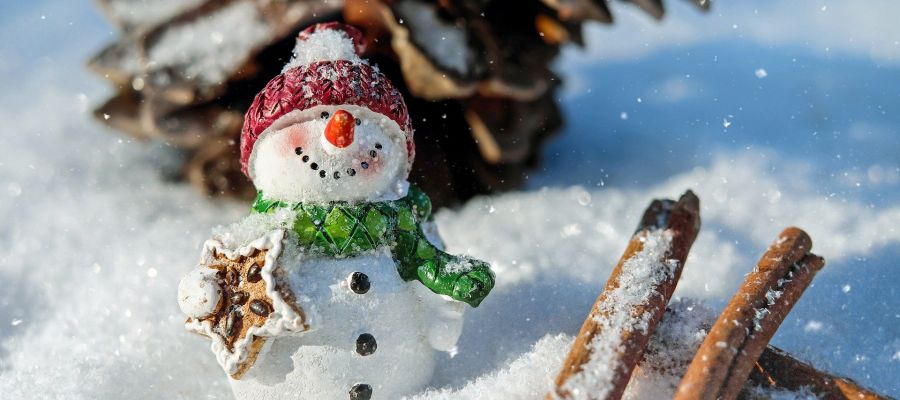 Horarios Navidad 2019